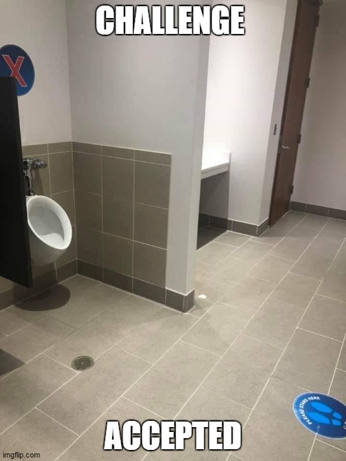 So, are we aiming for the X or the urinal? | CHALLENGE; ACCEPTED | image tagged in random,corona virus,challenge accepted | made w/ Imgflip meme maker