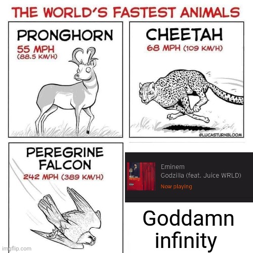 Eminem does the impossible | Goddamn infinity | image tagged in the world's fastest animals,memes | made w/ Imgflip meme maker