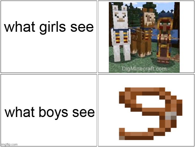 girls minecraft and boys minecraft | what girls see; what boys see | image tagged in memes,blank comic panel 2x2,minecraft,funny memes | made w/ Imgflip meme maker