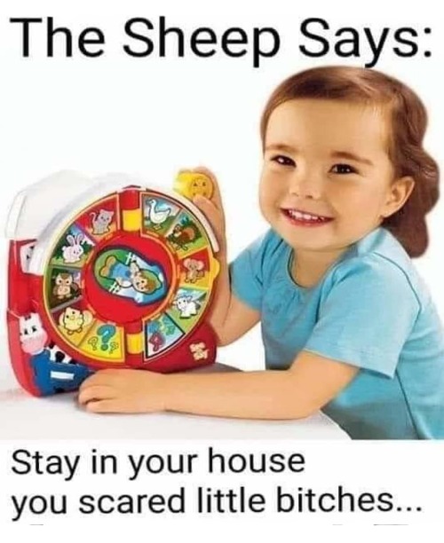 Kids Say the Darndest Things | image tagged in sheeple,covidiots,covid 19,whiny little bitches,shelter in place,whiners | made w/ Imgflip meme maker