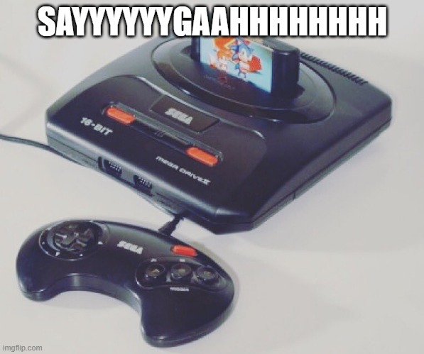Sega Fun | SAYYYYYYGAAHHHHHHHH | image tagged in video games | made w/ Imgflip meme maker