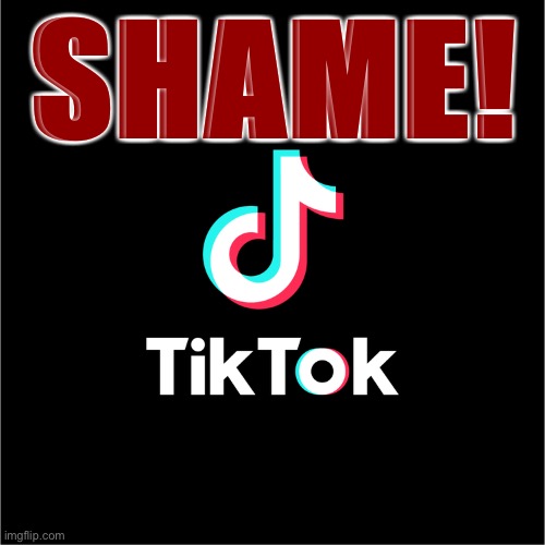 Shaming TikTok for their involvement in sponsoring “autism challenge” content. | SHAME! | image tagged in tiktok logo,autism,shame,hate,social media,trending now | made w/ Imgflip meme maker