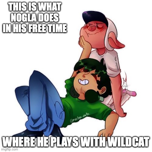 Nogla With Wildcat | THIS IS WHAT NOGLA DOES IN HIS FREE TIME; WHERE HE PLAYS WITH WILDCAT | image tagged in daithi de nogla,i am wildcat,memes,youtube | made w/ Imgflip meme maker