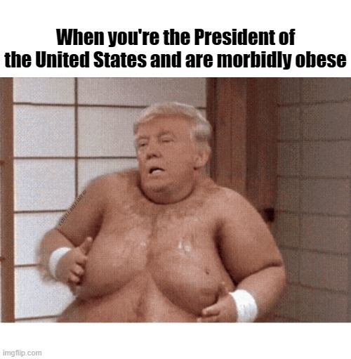 When you're the President of the United States and are morbidly obese; COVELL BELLAMY III | image tagged in trump united states president morbidly obese | made w/ Imgflip meme maker