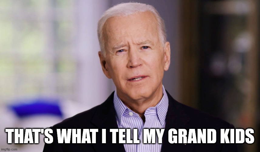 Joe Biden 2020 | THAT'S WHAT I TELL MY GRAND KIDS | image tagged in joe biden 2020 | made w/ Imgflip meme maker