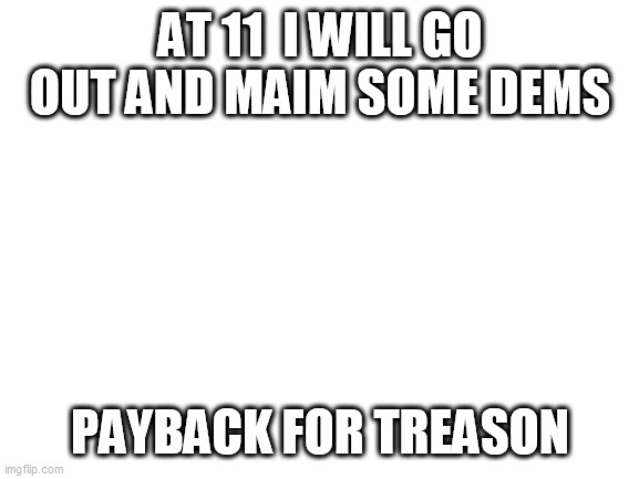 Blank White Template | AT 11  I WILL GO OUT AND MAIM SOME DEMS; PAYBACK FOR TREASON | image tagged in blank white template | made w/ Imgflip meme maker