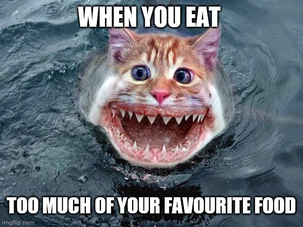 Cat-Fish | WHEN YOU EAT; TOO MUCH OF YOUR FAVOURITE FOOD | image tagged in cat-fish | made w/ Imgflip meme maker