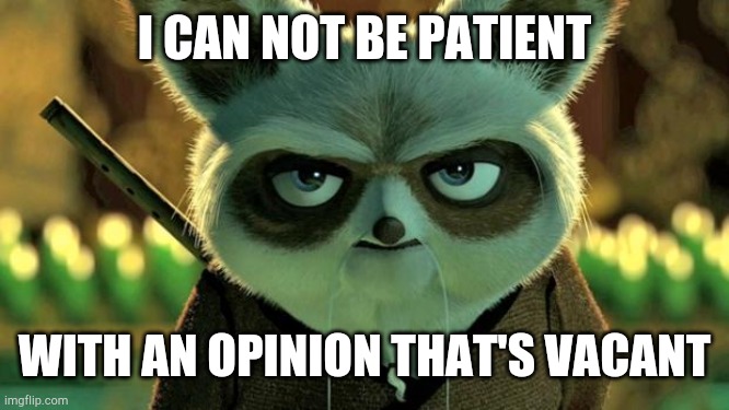 Shifu losing patience... | I CAN NOT BE PATIENT WITH AN OPINION THAT'S VACANT | image tagged in shifu losing patience | made w/ Imgflip meme maker