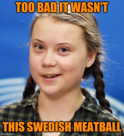 Greta Thunberg | TOO BAD IT WASN'T THIS SWEDISH MEATBALL | image tagged in greta thunberg | made w/ Imgflip meme maker