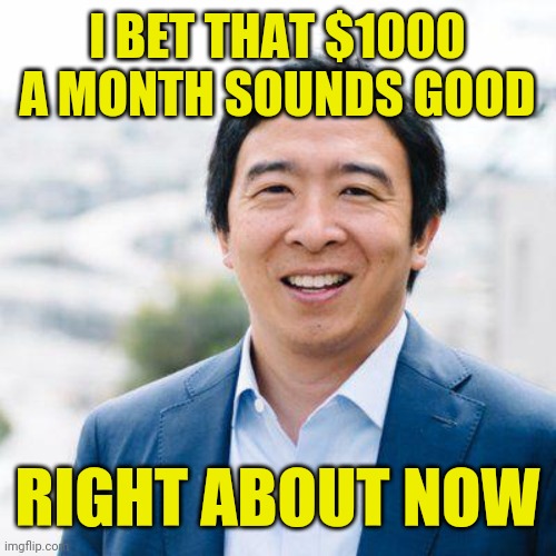 Grocery day | I BET THAT $1000 A MONTH SOUNDS GOOD; RIGHT ABOUT NOW | image tagged in andrew yang,1000,covid-19 | made w/ Imgflip meme maker