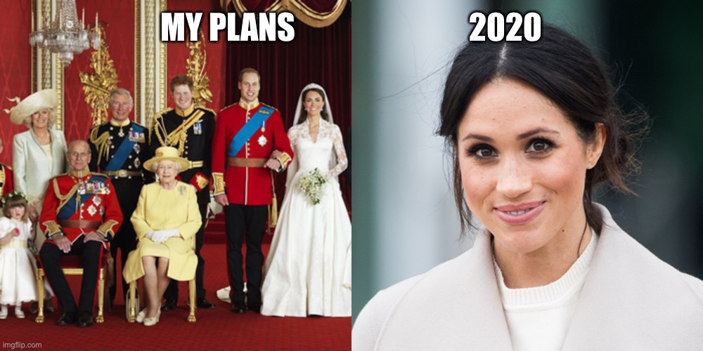 My Plans...2020 | MY PLANS                            2020 | image tagged in 2020,royal family,covid-19 | made w/ Imgflip meme maker