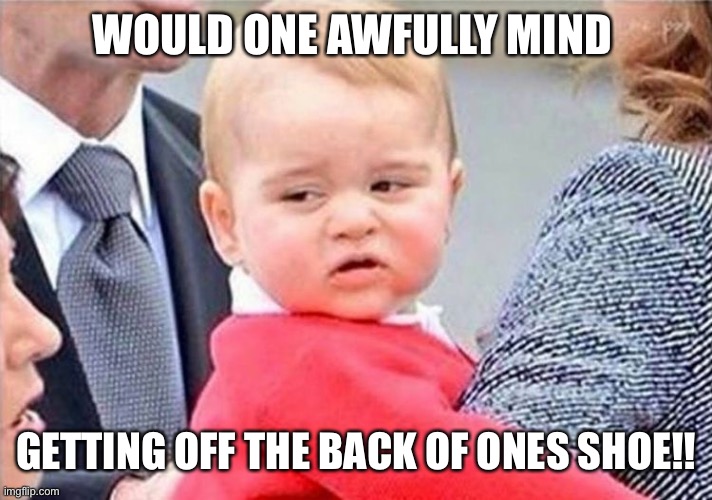Face of frustration | WOULD ONE AWFULLY MIND; GETTING OFF THE BACK OF ONES SHOE!! | image tagged in frustrated,that face you make when,shoes,british royals,prince | made w/ Imgflip meme maker
