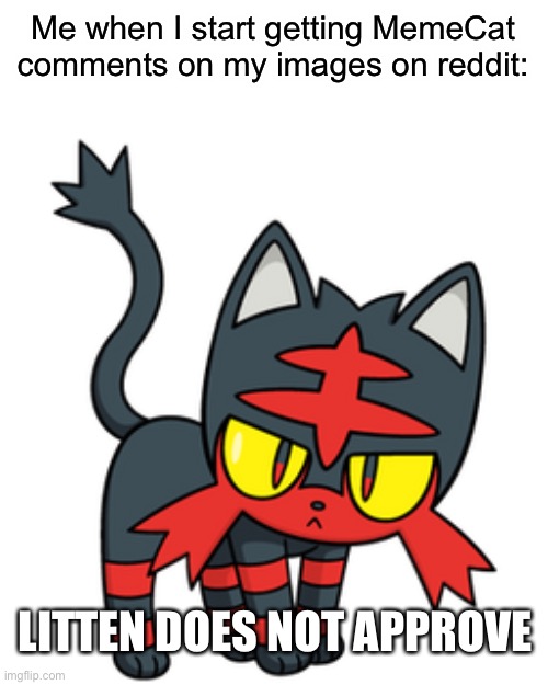 How the f—- did they find my reddit?! | Me when I start getting MemeCat comments on my images on reddit:; LITTEN DOES NOT APPROVE | image tagged in wtf,angry | made w/ Imgflip meme maker