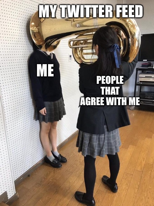 Girl Putting Tuba on Girl's Head | MY TWITTER FEED; PEOPLE THAT AGREE WITH ME; ME | image tagged in girl putting tuba on girl's head | made w/ Imgflip meme maker