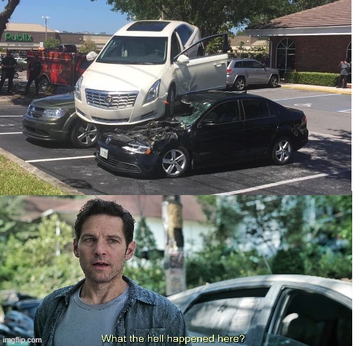 Cape Coral; First Day of Florida Reopening | image tagged in what the hell happened here,memes,florida man,cars,car | made w/ Imgflip meme maker