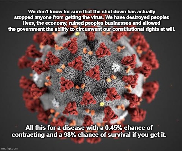We Don't Know... | We don't know for sure that the shut down has actually stopped anyone from getting the virus. We have destroyed peoples lives, the economy, ruined peoples businesses and allowed the government the ability to circumvent our constitutional rights at will. All this for a disease with a 0.45% chance of contracting and a 98% chance of survival if you get it. | image tagged in covid-19 | made w/ Imgflip meme maker