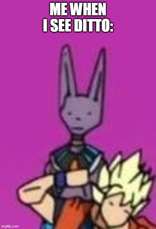 Beerus on drugs | ME WHEN I SEE DITTO: | image tagged in ditto beerus | made w/ Imgflip meme maker
