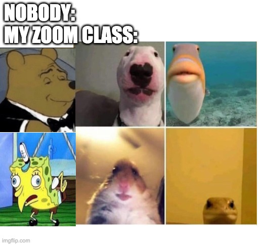 Zoooom classes | NOBODY:
MY ZOOM CLASS: | image tagged in blank white template,zoom,memes,funny,baby jesus for mod | made w/ Imgflip meme maker