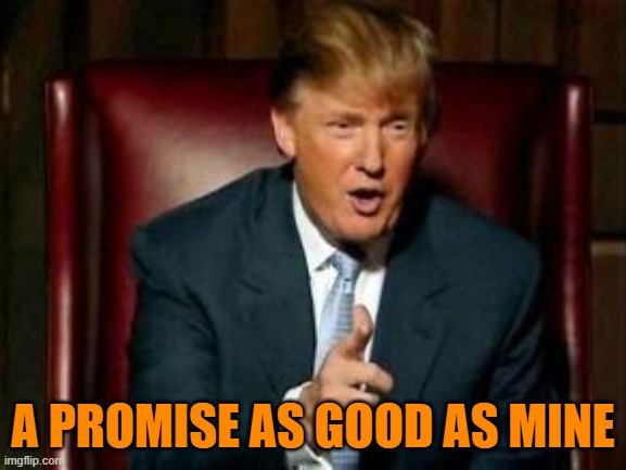 Donald Trump | A PROMISE AS GOOD AS MINE | image tagged in donald trump | made w/ Imgflip meme maker