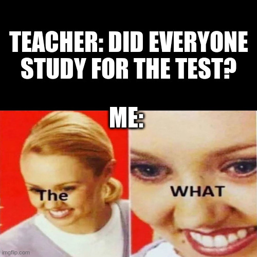 The What | TEACHER: DID EVERYONE STUDY FOR THE TEST? ME: | image tagged in the what | made w/ Imgflip meme maker