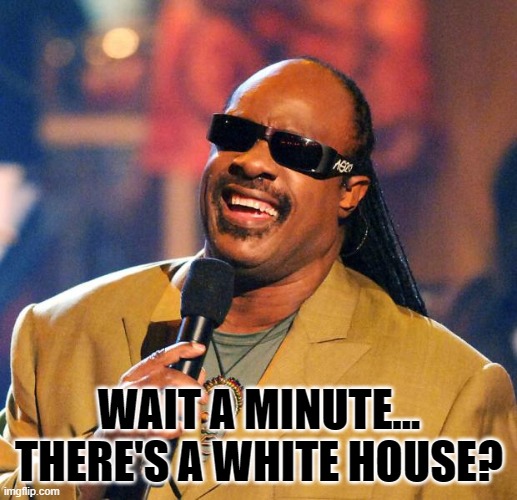 Stevie Wonder Solar Eclipse | WAIT A MINUTE... THERE'S A WHITE HOUSE? | image tagged in stevie wonder solar eclipse | made w/ Imgflip meme maker