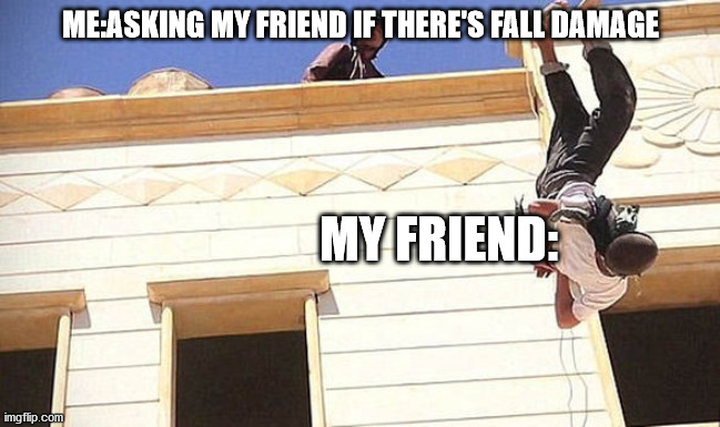 fall damage | ME:ASKING MY FRIEND IF THERE'S FALL DAMAGE; MY FRIEND: | image tagged in multiplayer | made w/ Imgflip meme maker
