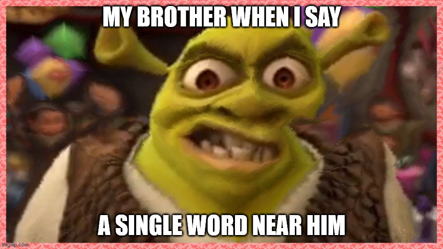 Angry Shrek | MY BROTHER WHEN I SAY; A SINGLE WORD NEAR HIM | image tagged in angry shrek | made w/ Imgflip meme maker
