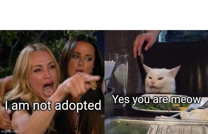 Woman Yelling At Cat Meme | Yes you are meow; I am not adopted | image tagged in memes,woman yelling at cat | made w/ Imgflip meme maker