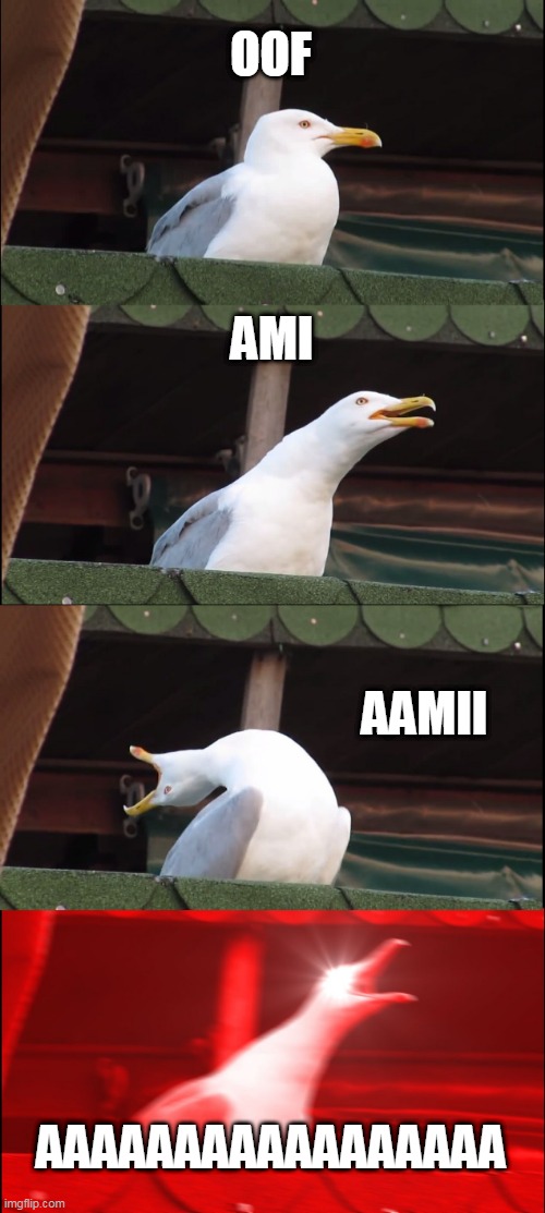 Inhaling Seagull | OOF; AMI; AAMII; AAAAAAAAAAAAAAAAA | image tagged in memes,inhaling seagull | made w/ Imgflip meme maker