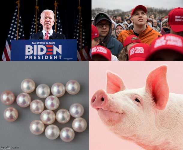 Make America Oink Again. | image tagged in election 2020 | made w/ Imgflip meme maker