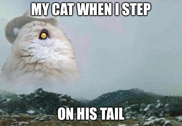 R.I.P | 😭; MY CAT WHEN I STEP; ON HIS TAIL | image tagged in country cat,funny,cats,funny cats,animals,funny animals | made w/ Imgflip meme maker