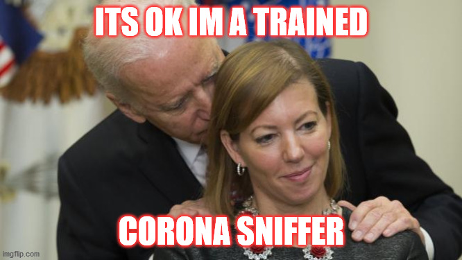 politics memes | ITS OK IM A TRAINED; CORONA SNIFFER | image tagged in political humor | made w/ Imgflip meme maker