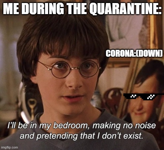 Too true |  ME DURING THE QUARANTINE:; CORONA:(DOWN) | image tagged in harry potter | made w/ Imgflip meme maker