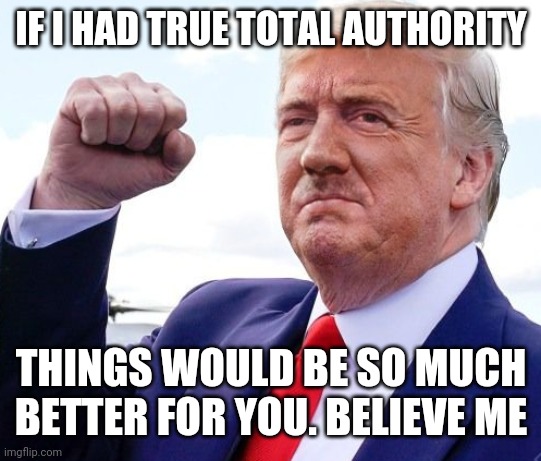 Hitler Trump | IF I HAD TRUE TOTAL AUTHORITY; THINGS WOULD BE SO MUCH BETTER FOR YOU. BELIEVE ME | image tagged in hitler trump | made w/ Imgflip meme maker