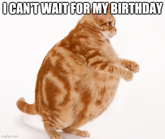 This Chonk Has The Same Birthday As Me (June 11) | I CAN'T WAIT FOR MY BIRTHDAY | image tagged in chonk cat dance | made w/ Imgflip meme maker