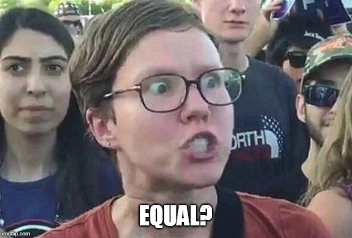 Triggered Liberal | EQUAL? | image tagged in triggered liberal | made w/ Imgflip meme maker