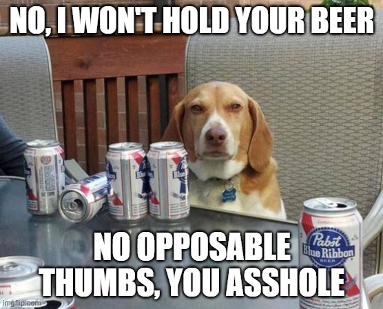 dog beer | NO, I WON'T HOLD YOUR BEER; NO OPPOSABLE THUMBS, YOU ASSHOLE | image tagged in dog beer | made w/ Imgflip meme maker