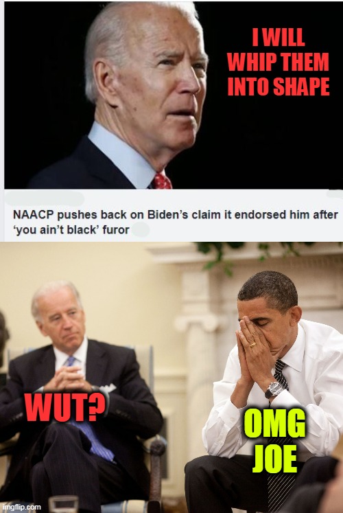 when the whip comes down | I WILL WHIP THEM INTO SHAPE; WUT? OMG JOE | image tagged in obama biden hands,politics,whoops,blacks,naacp | made w/ Imgflip meme maker