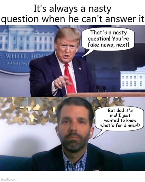 image tagged in trump nasty question | made w/ Imgflip meme maker
