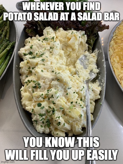 Potato Salad in a Salad Bar | WHENEVER YOU FIND POTATO SALAD AT A SALAD BAR; YOU KNOW THIS WILL FILL YOU UP EASILY | image tagged in salad,potato,memes,food | made w/ Imgflip meme maker