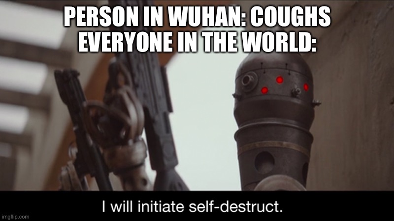 Medium Rare Meme | PERSON IN WUHAN: COUGHS
EVERYONE IN THE WORLD: | image tagged in i will initiate self-destruct | made w/ Imgflip meme maker