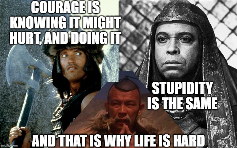 why life is hard | COURAGE IS KNOWING IT MIGHT HURT, AND DOING IT; STUPIDITY IS THE SAME; AND THAT IS WHY LIFE IS HARD | image tagged in courage,stupidity,life is hard | made w/ Imgflip meme maker