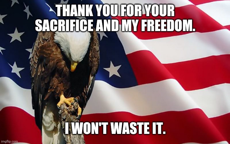 I won't waste it. | THANK YOU FOR YOUR SACRIFICE AND MY FREEDOM. I WON'T WASTE IT. | image tagged in last memorial day | made w/ Imgflip meme maker