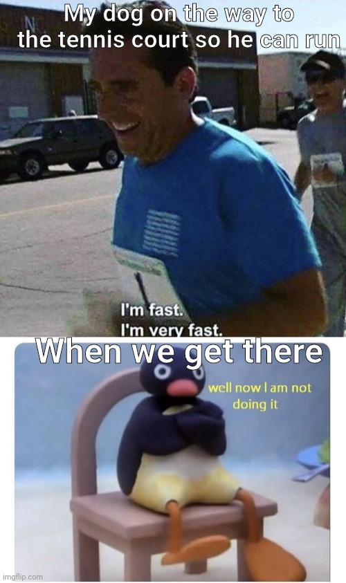 My dog on the way to the tennis court so he can run; When we get there | image tagged in i'm fast i'm very fast,well now i am not doing it,dogs | made w/ Imgflip meme maker