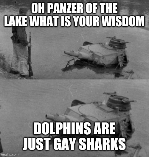 Panzer of the lake | OH PANZER OF THE LAKE WHAT IS YOUR WISDOM; DOLPHINS ARE JUST GAY SHARKS | image tagged in panzer of the lake | made w/ Imgflip meme maker