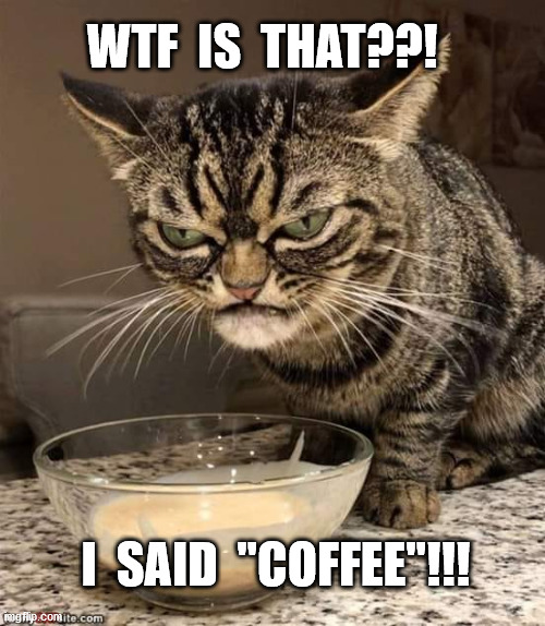 angry cat | WTF  IS  THAT??! I  SAID  "COFFEE"!!! | image tagged in cat doesn't like this coffee | made w/ Imgflip meme maker
