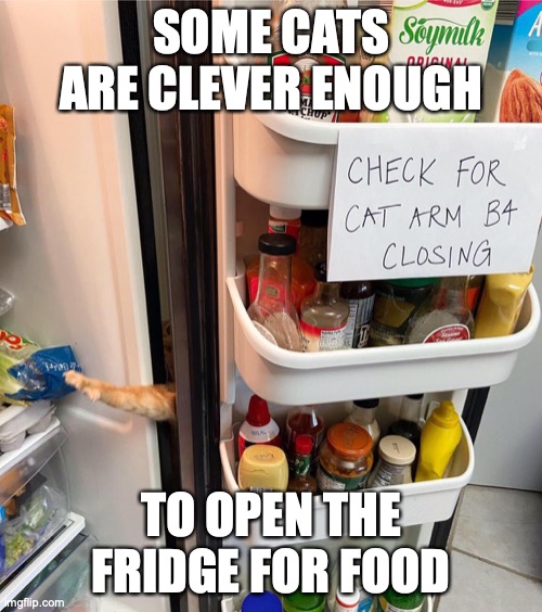 Cat Grabbing Food | SOME CATS ARE CLEVER ENOUGH; TO OPEN THE FRIDGE FOR FOOD | image tagged in cats,memes | made w/ Imgflip meme maker