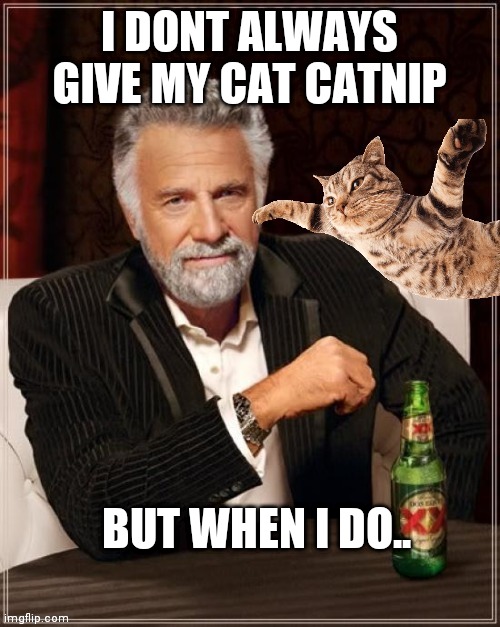 DONT ALWAYS GIVE CATNIP | I DONT ALWAYS GIVE MY CAT CATNIP; BUT WHEN I DO.. | image tagged in memes,the most interesting man in the world,cat | made w/ Imgflip meme maker
