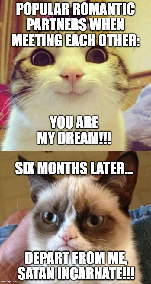 This is very true | POPULAR ROMANTIC PARTNERS WHEN MEETING EACH OTHER:; YOU ARE MY DREAM!!! SIX MONTHS LATER... DEPART FROM ME, SATAN INCARNATE!!! | image tagged in memes,grumpy cat,smiling cat,funny,cats,romance | made w/ Imgflip meme maker