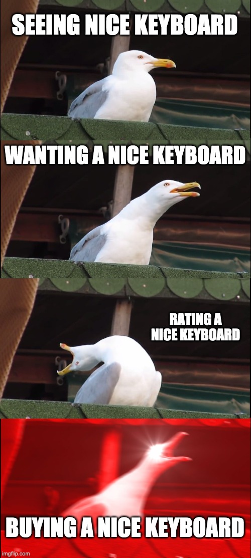 LOLOLOLOLOLOLOLOLOLOLOLOLOOLLLOOOOLL\ | SEEING NICE KEYBOARD; WANTING A NICE KEYBOARD; RATING A NICE KEYBOARD; BUYING A NICE KEYBOARD | image tagged in memes,inhaling seagull | made w/ Imgflip meme maker